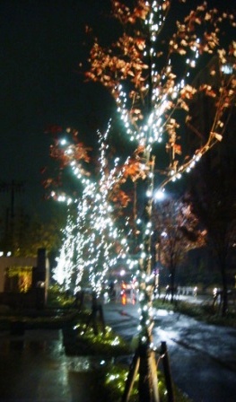 c0197508_203423.jpg