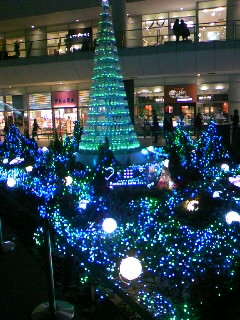 c0133013_162139.jpg