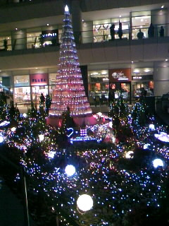 c0133013_163866.jpg