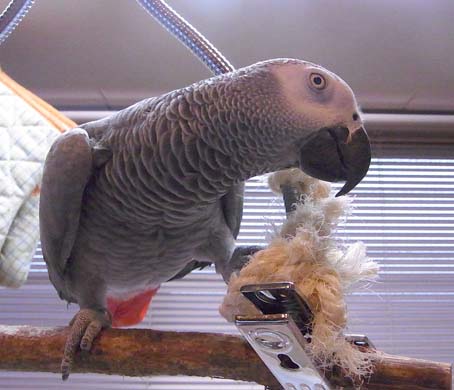 c0133013_16535421.jpg