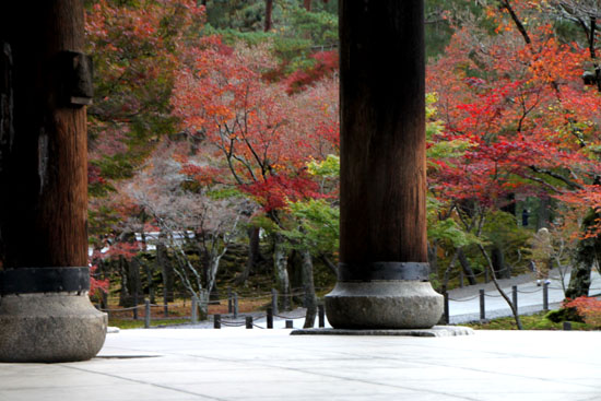 南禅寺　紅葉1_e0048413_216473.jpg