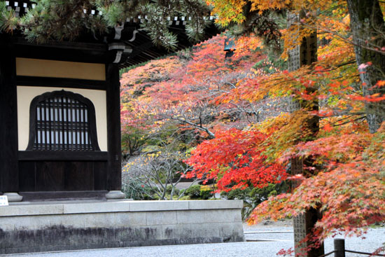 南禅寺　紅葉1_e0048413_2172267.jpg