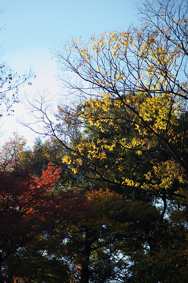 養老の滝　紅葉2009（岐阜県養老町）_c0115616_21263390.jpg