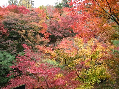 京都の旅　その１_b0075917_21473156.jpg