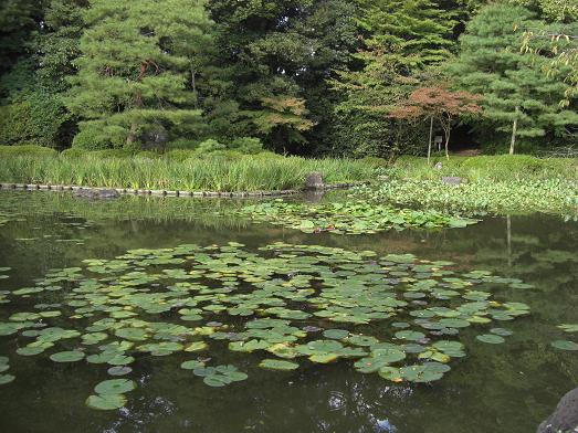 息子の京都リベンジ旅行（５）　＜平安神宮＞_c0005619_11693.jpg