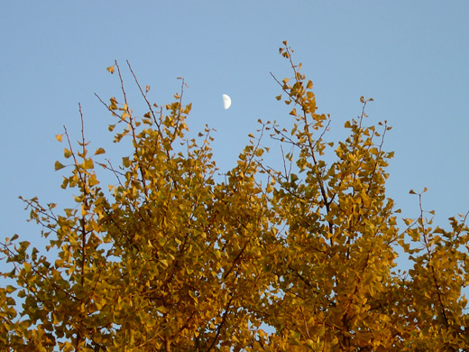 c0147123_21185212.jpg