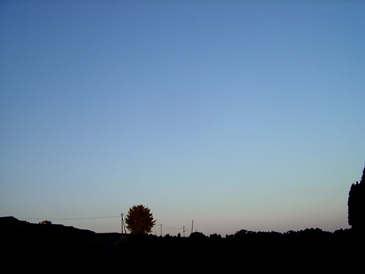 c0147123_21305721.jpg