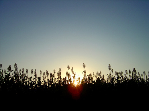 c0147123_2193165.jpg