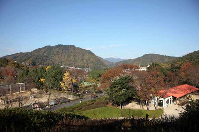 ひろしま八十景　（広島市安佐動物園1）_c0064025_11424678.jpg