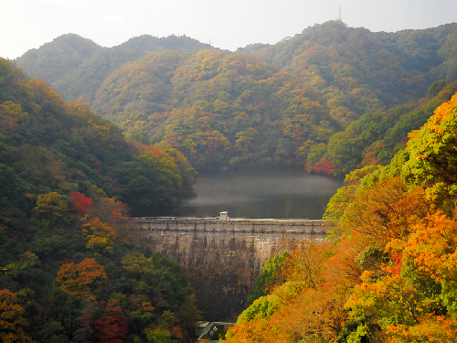 d0017632_19374922.jpg