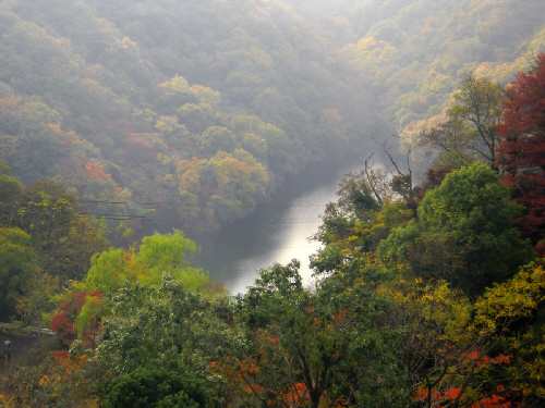 d0017632_1938184.jpg