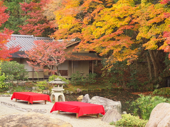 紅葉巡り2009～京都・南禅寺方丈庭園～_e0080133_0434925.jpg