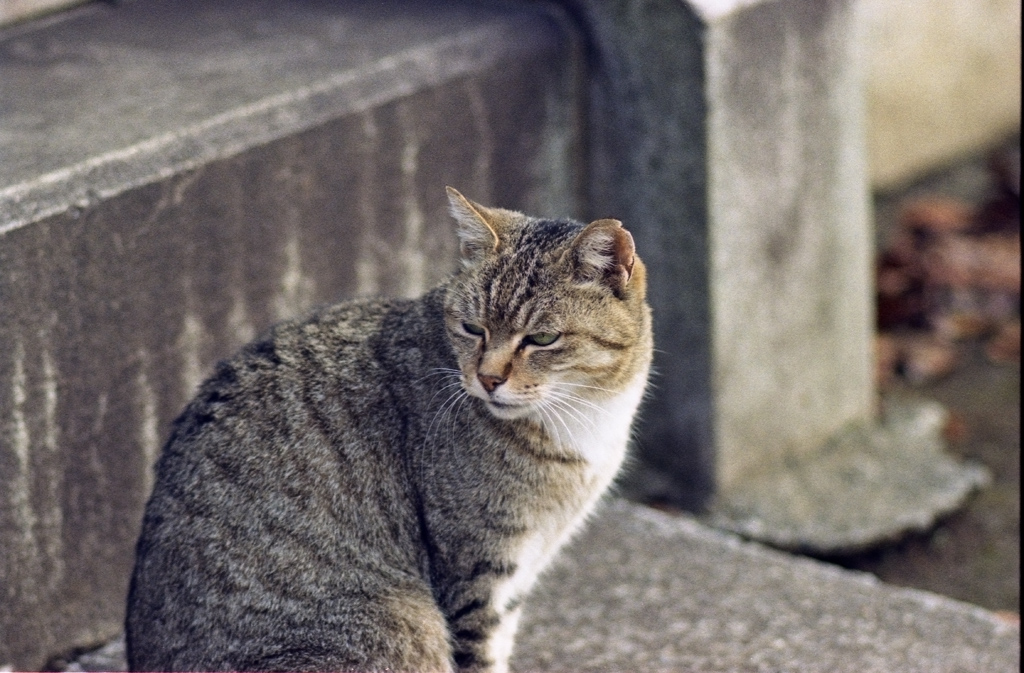 上野、谷中界隈_b0158237_2395788.jpg