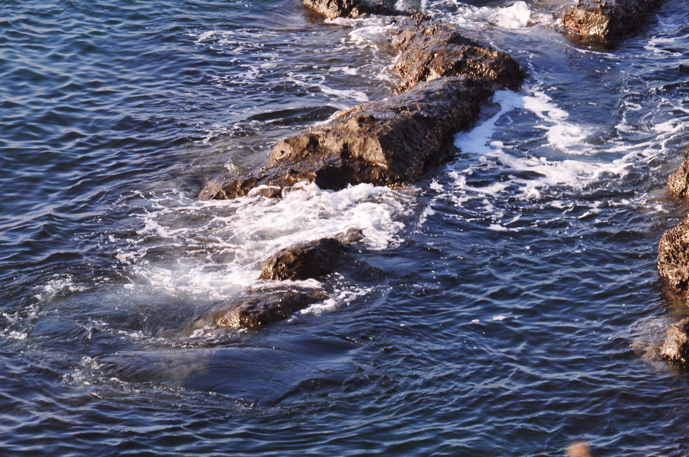 d0138737_70327.jpg