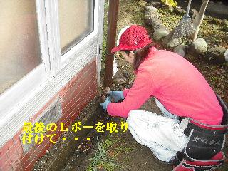 雨樋設置_f0031037_21153211.jpg