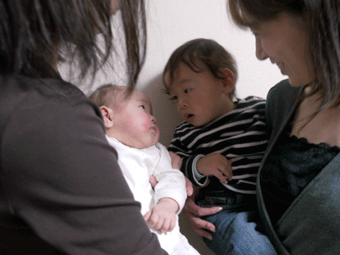 c0080038_1211062.gif