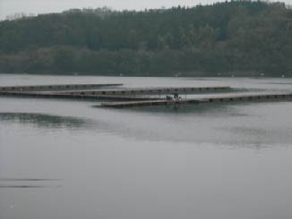 b0180946_21544566.jpg