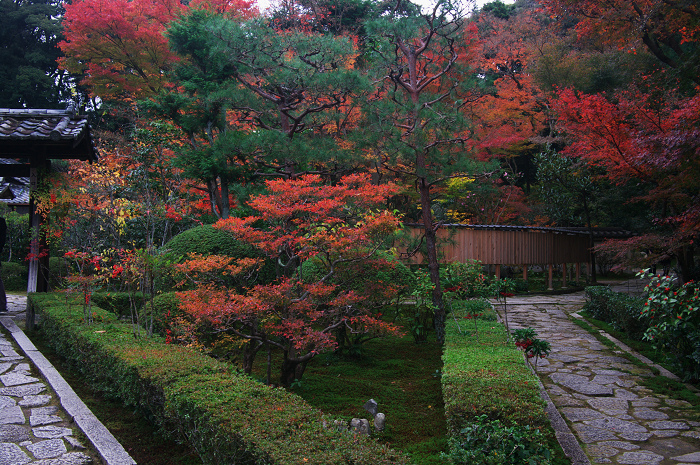 秋の庭を訪ねて（東福寺塔頭・即宗院）_f0155048_23315642.jpg