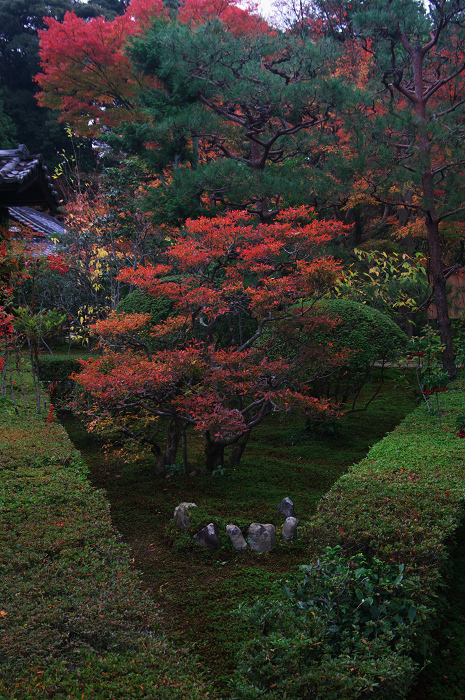 秋の庭を訪ねて（東福寺塔頭・即宗院）_f0155048_23323832.jpg