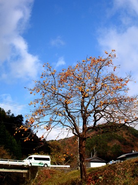 奥山の秋・・・針畑コンニャクとナメコ佃煮_d0005250_17161611.jpg