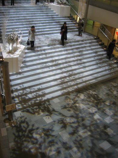 b0072051_75895.jpg