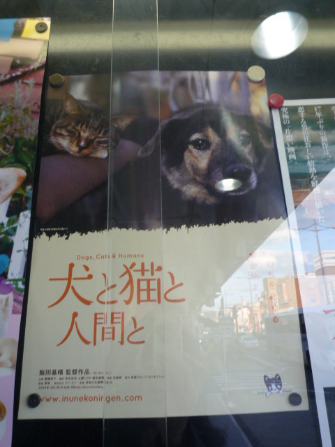 考えさせられた映画・犬と猫と人間と。_f0181251_202113100.jpg