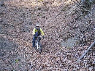 c0047856_7201010.jpg