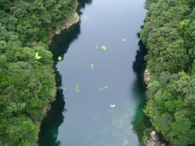 b0160957_6361818.jpg