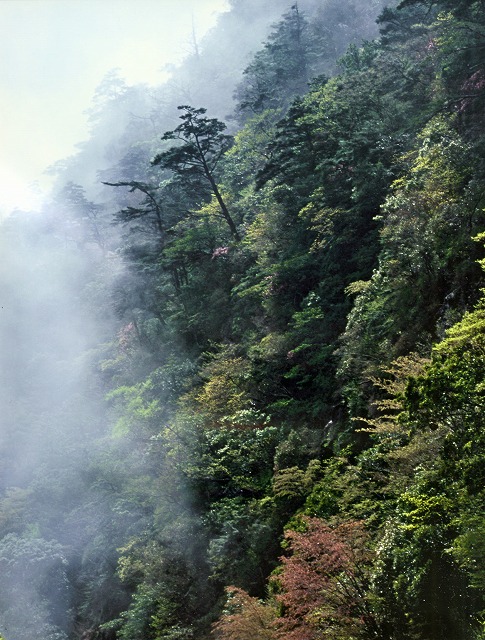 e0173358_22501126.jpg