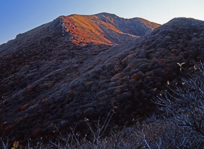 e0173358_22593318.jpg