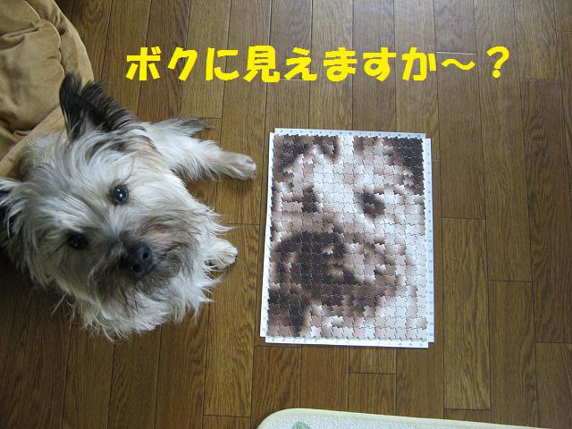 c0202659_21595768.jpg