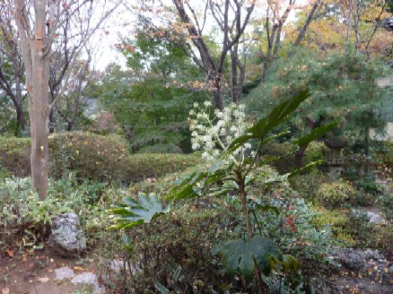 2009-11-25 京都・神戸ツアー_e0021965_10294144.jpg