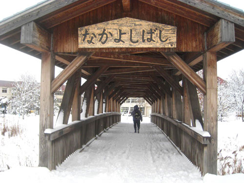 屋根付き橋、東小学校『なかよし橋』_c0189970_16571921.jpg