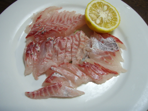 釣りたて魚のお刺身_a0077071_1757486.jpg