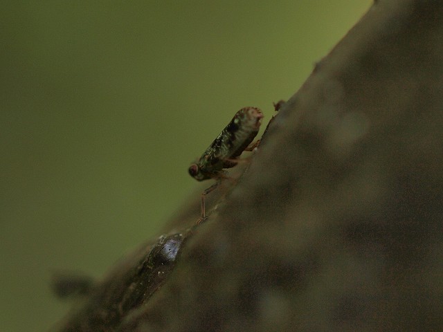 b0135573_1935111.jpg
