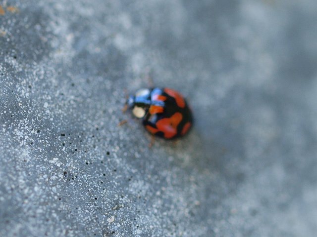 b0135573_20204623.jpg