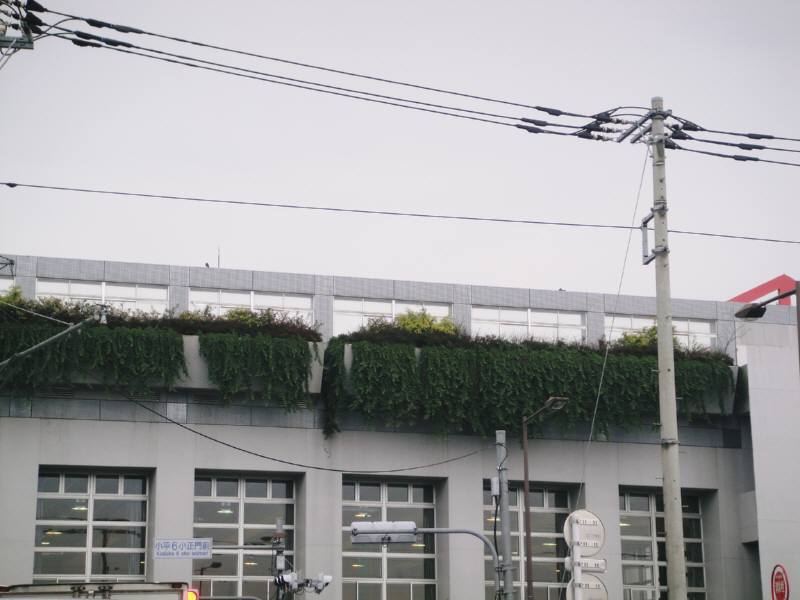 f0059673_2341302.jpg