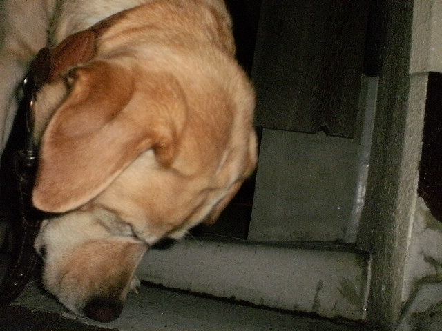 f0052277_1354433.jpg
