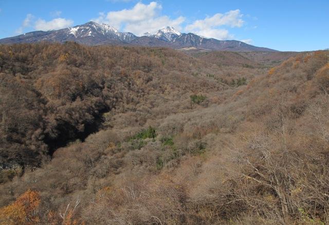 a0091680_1213572.jpg