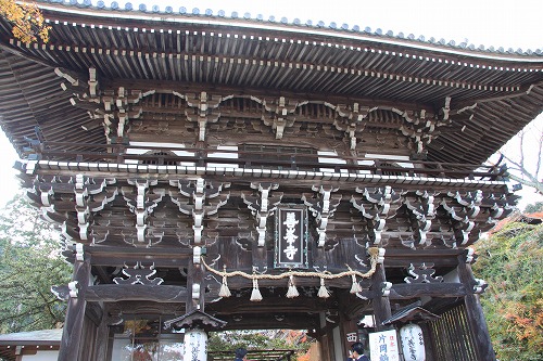 b0003280_11425216.jpg