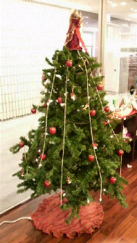 クリスマスモード☆_b0134285_2332546.jpg