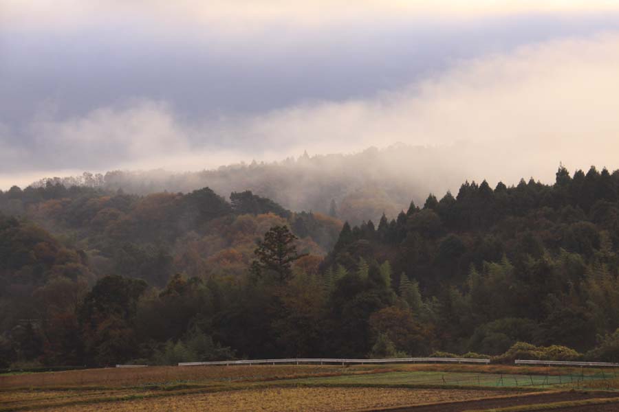 c0177785_2028277.jpg