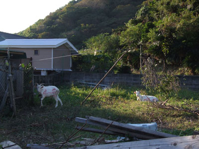 「第２回定住促進ツアー」受け入れ準備等_e0028387_23521474.jpg