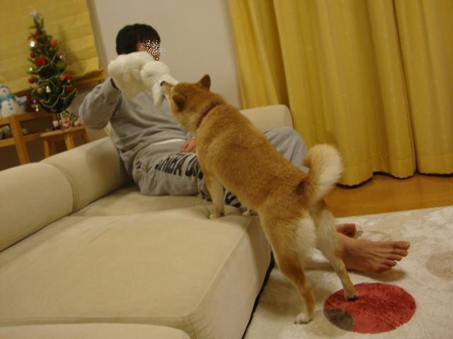たくさん遊んで頂戴な!_a0126590_22494345.jpg
