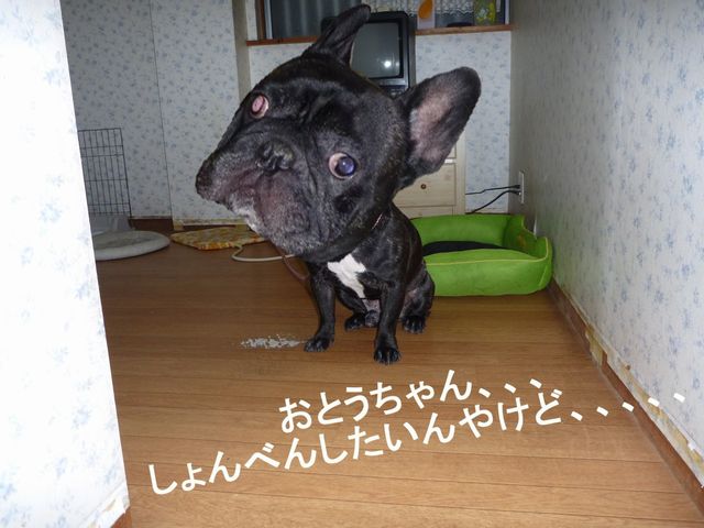 b0190092_22515939.jpg