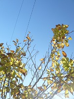 f0026093_01694.jpg