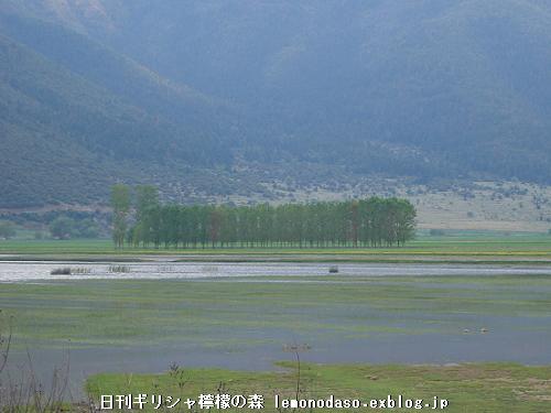 c0010496_825391.jpg