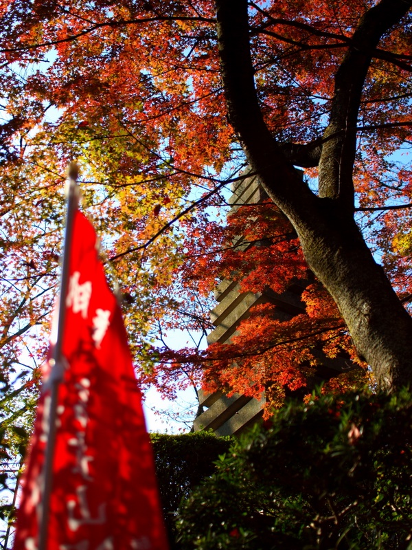 信貴山 朝護孫子寺④_b0138101_2211537.jpg