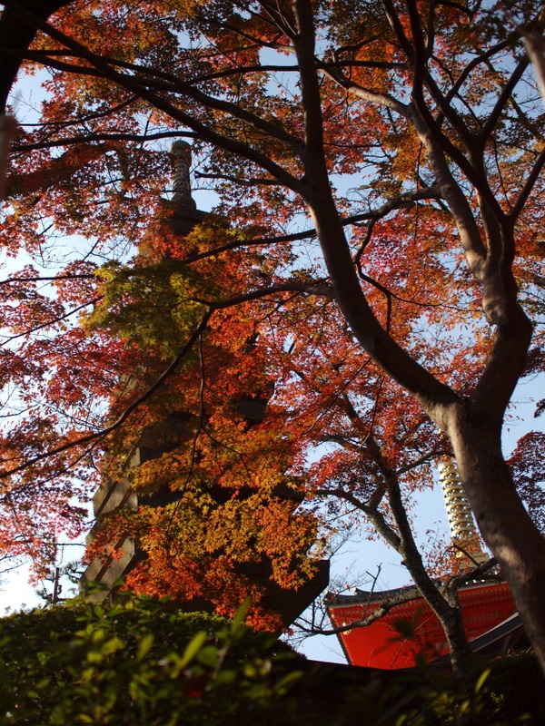 信貴山 朝護孫子寺④_b0138101_2212715.jpg