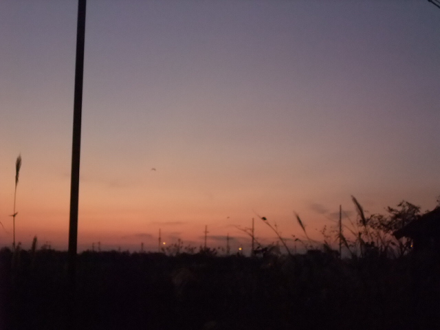 c0183801_20444415.jpg